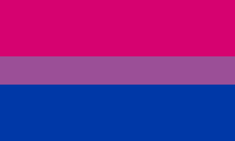 Sidekick Small - Bi Pride Drip - Medium Firm