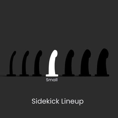 Diagram showing the seven Sidekick models lined up left to right smallest to largest, and the Small in the center position.