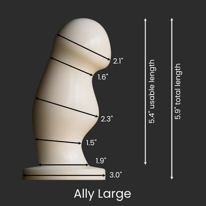 Diagram showing the dimensions of the Ally L as described in the product description.