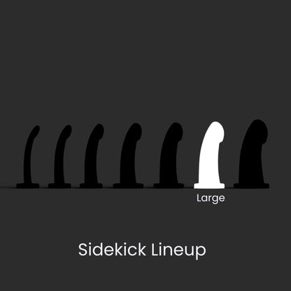 Diagram showing the seven Sidekick models lined up left to right smallest to largest, and the Large in the sixth position.