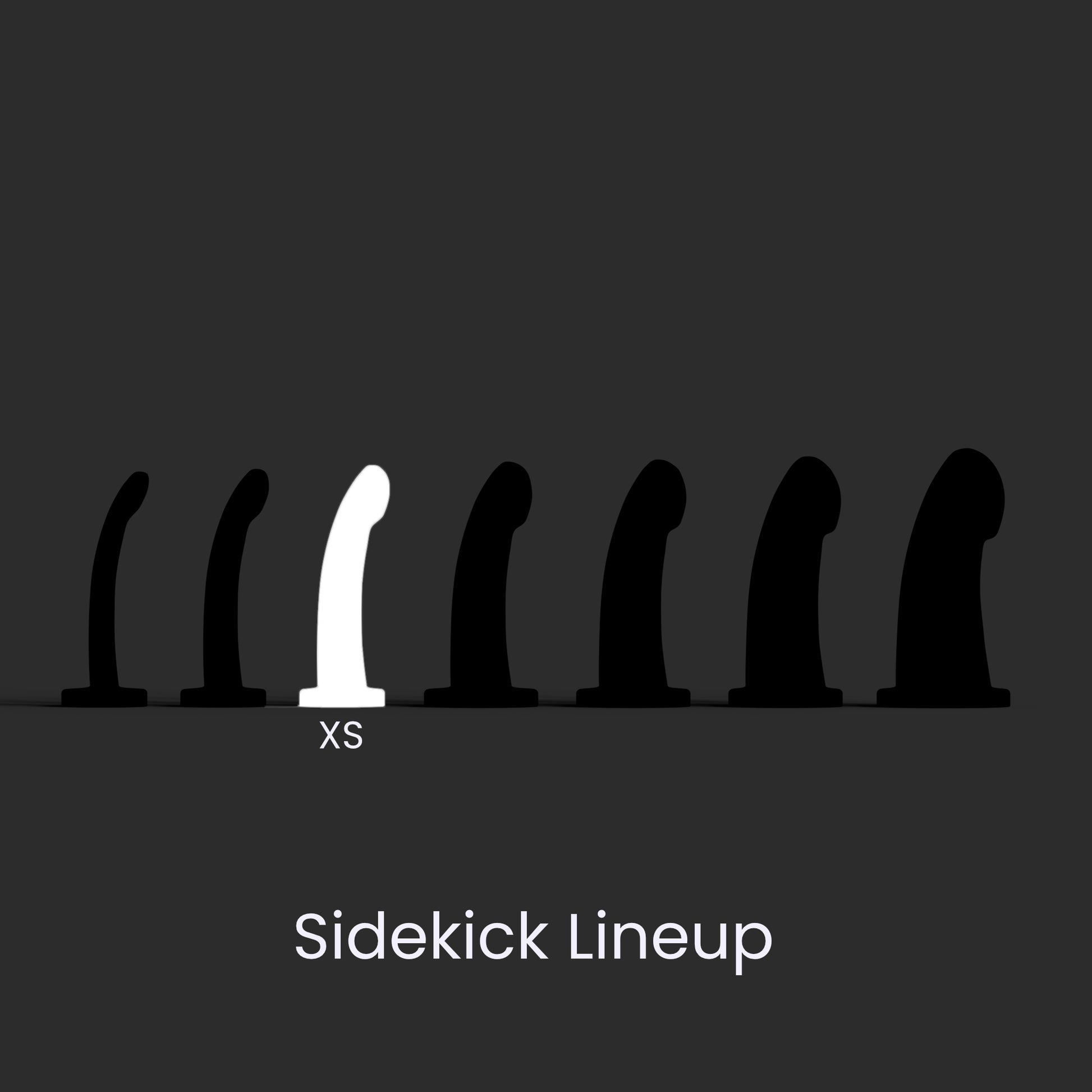 Diagram showing the seven Sidekick models lined up left to right smallest to largest, and the Extra Small in the third position.