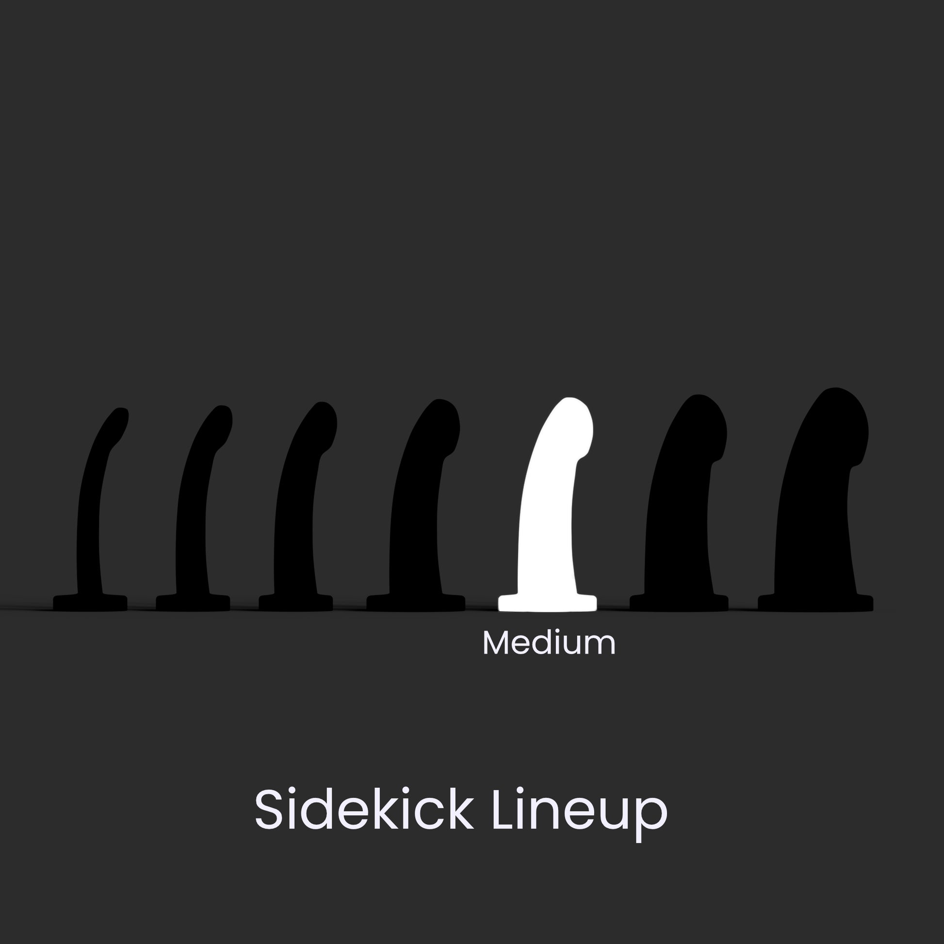 Diagram showing the seven Sidekick models lined up left to right smallest to largest, and the Medium in the fifth position.