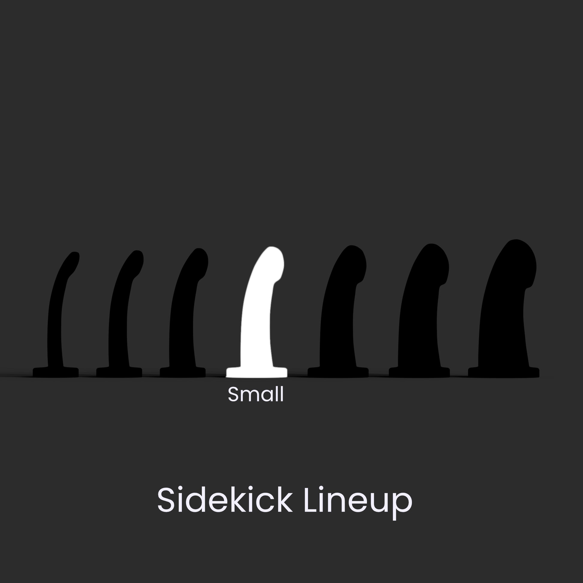 Diagram showing the seven Sidekick models lined up left to right smallest to largest, and the Small in the middle position.